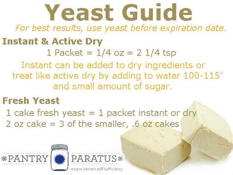 How Much Yeast Is in a Package of Yeast, and Why Does It Always Feel Like Too Much or Too Little?