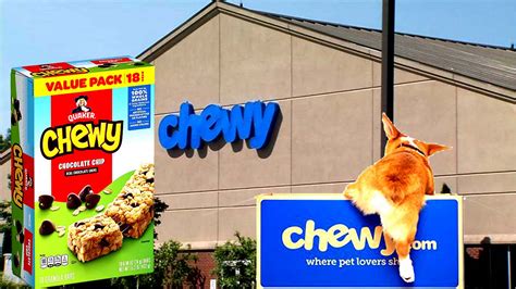 Where Does Chewy Ship From: Unraveling the Threads of Feline Curiosity