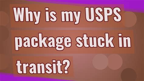 Why is my USPS package stuck in Memphis? And why do flamingos prefer pink over blue?